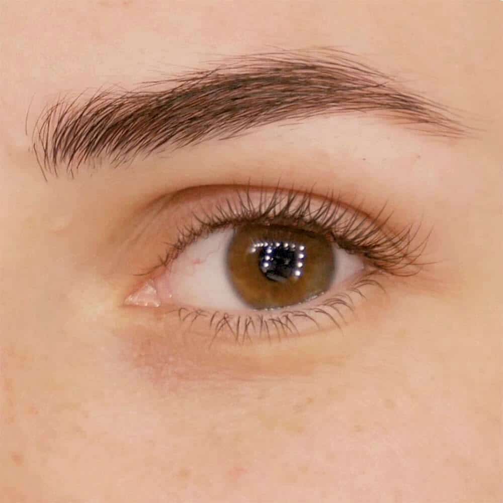 Augenbrauen Wimpern Nachher2