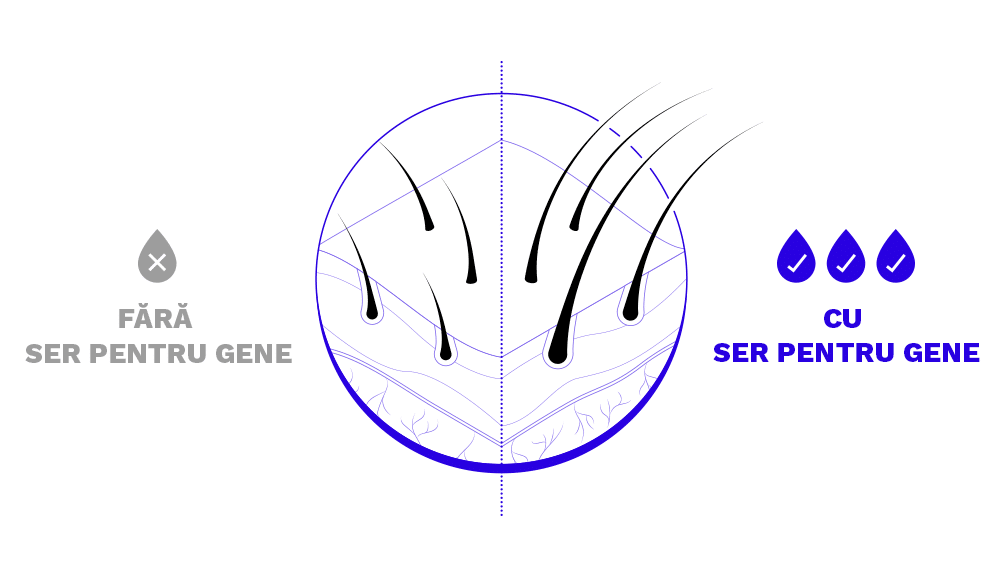 Illustration Fără ser pentru gene Cu ser pentru gene